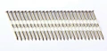 Plastic strip nails